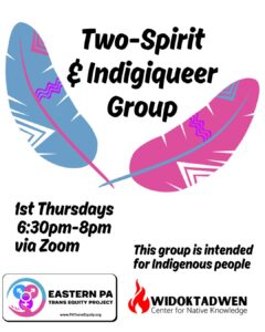 Two Spirit and INdigiqueer zoom meetup